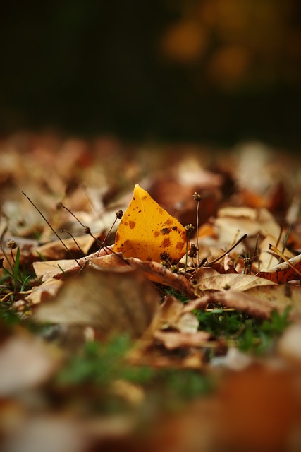 行上掩